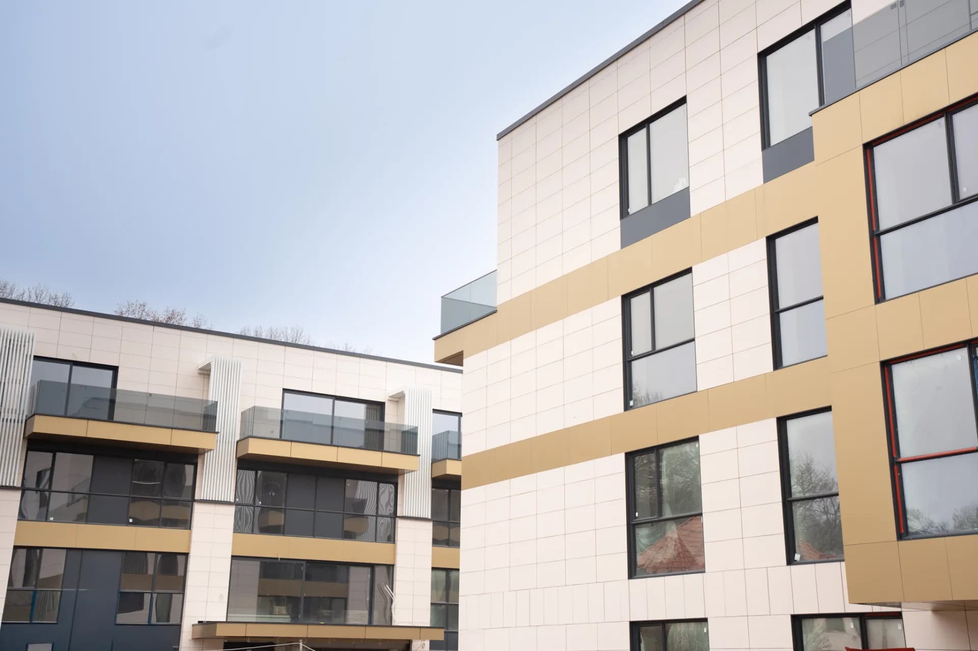 Iancu Nicolae Residence - exterior