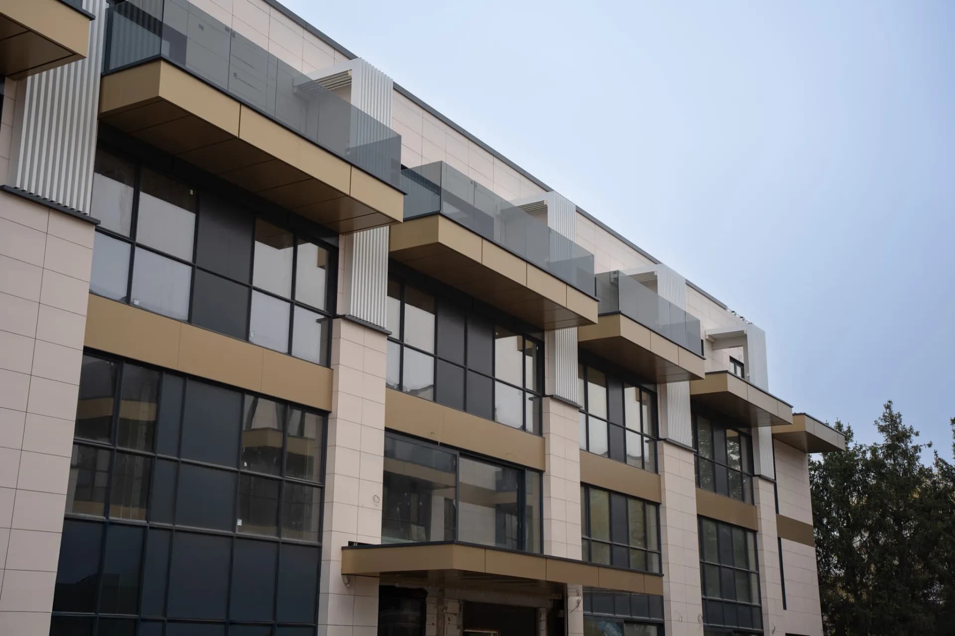Iancu Nicolae Residence 1